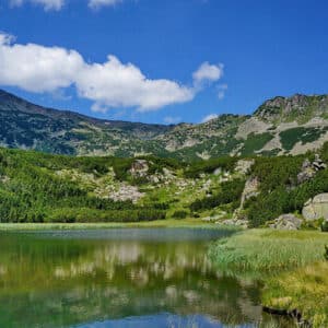 Вапските езера и вълшебната гора